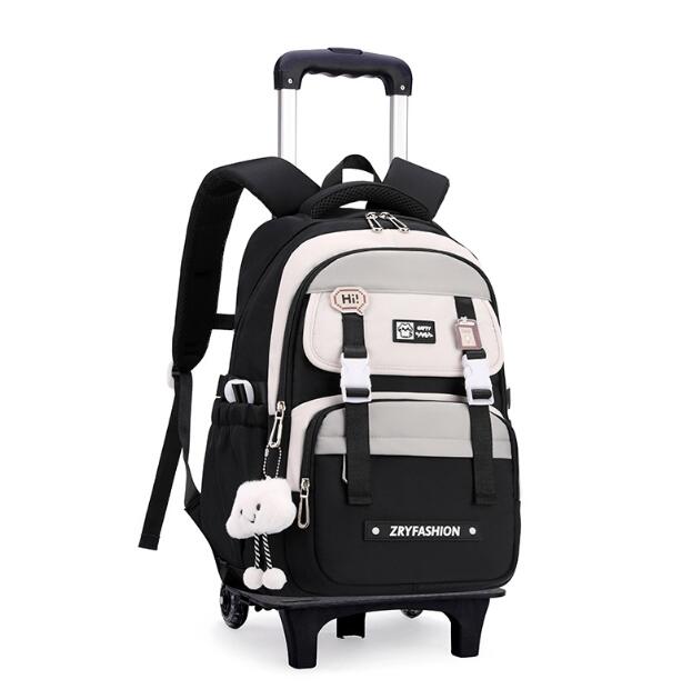 Travel Rolling Luggage backpac - Foldable Rolling Luggage Bag 评论和价格